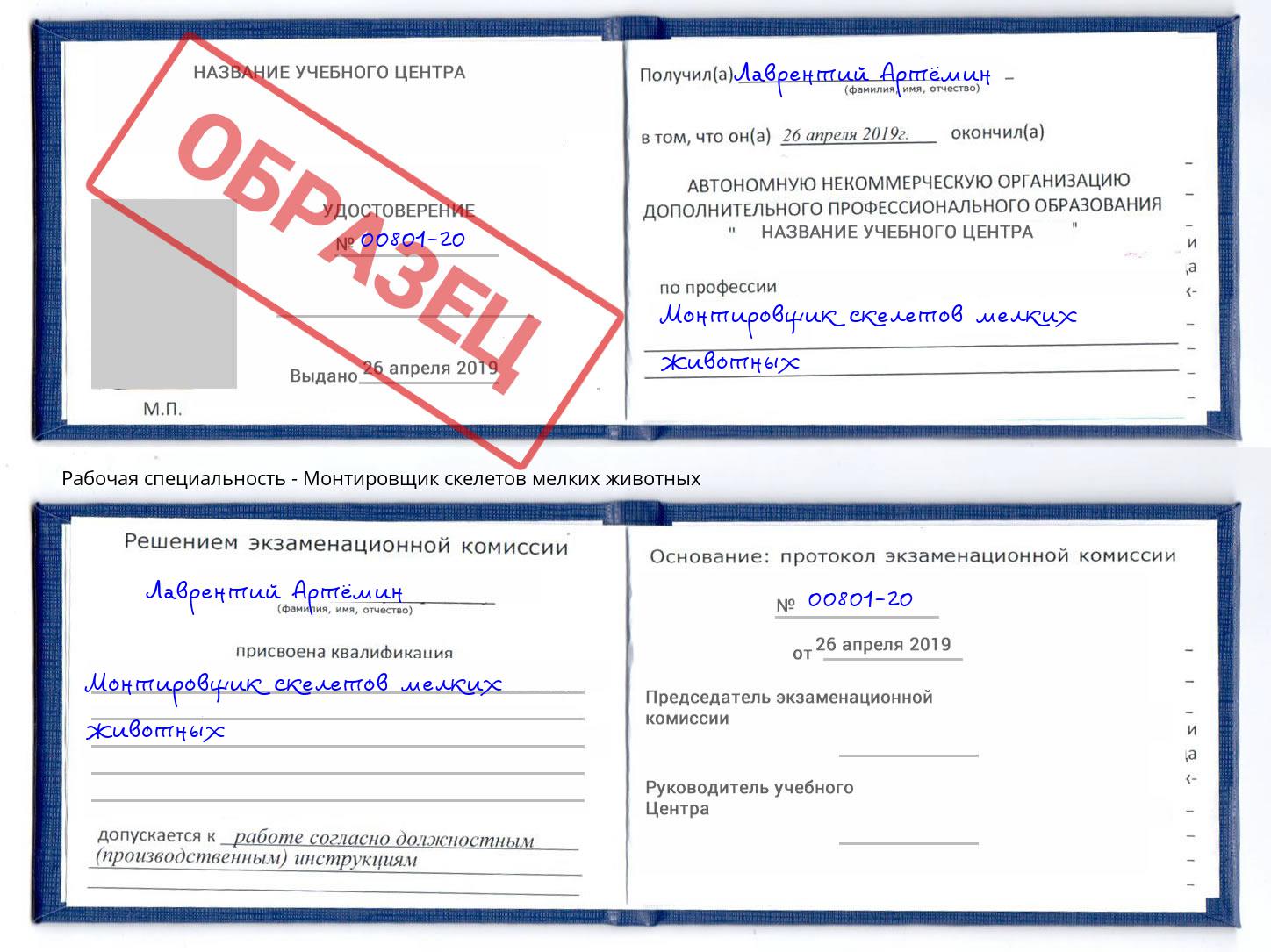Монтировщик скелетов мелких животных Михайловск