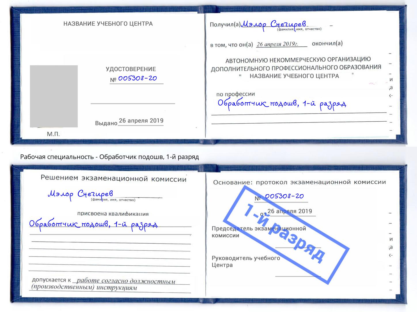 корочка 1-й разряд Обработчик подошв Михайловск